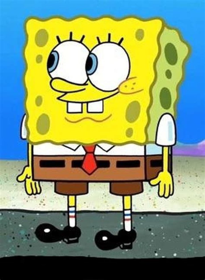 パール・カーニ Spongebob Wiki Fandom