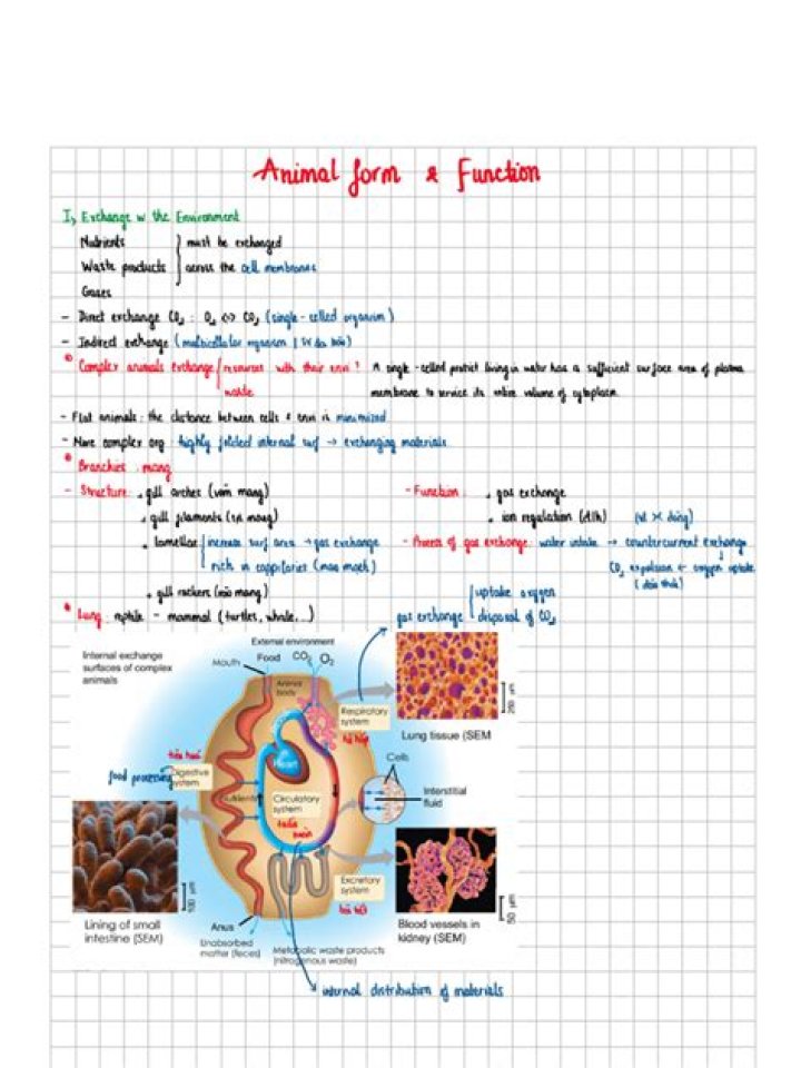 14.1 Animal Form and Function Concepts of Biology