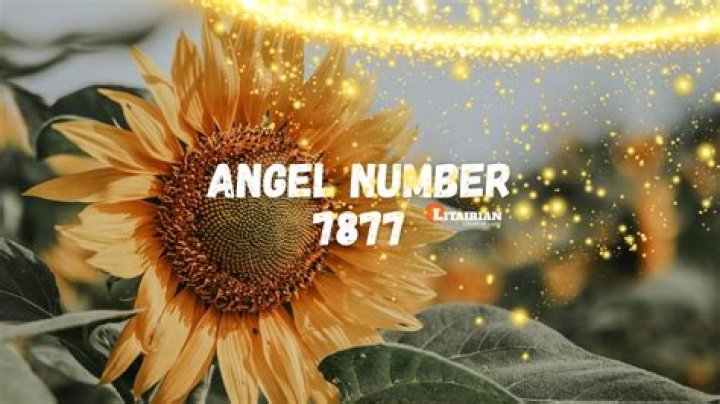 481 Angel Number Meaning, Significance & Symbolism Ministry Of Numerology By Johanna A&uacute;gusta