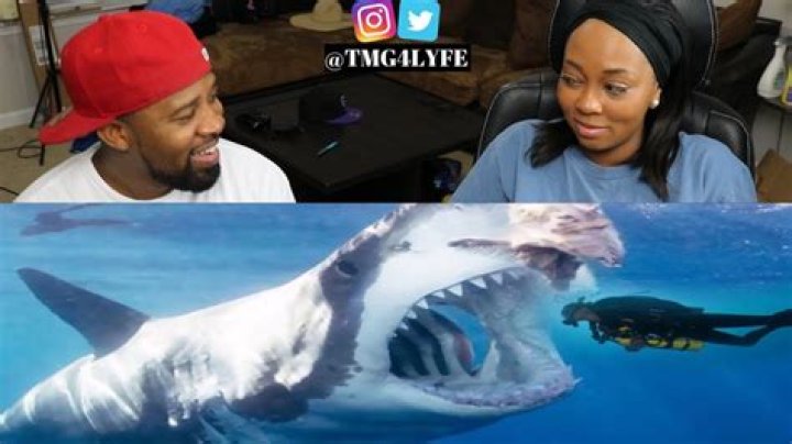 5 Megalodon Caught on Camera & Spotted In Real Life! ) Megalodon