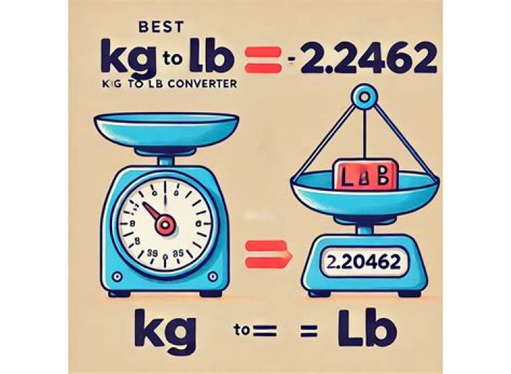 5.93 KG to Lbs