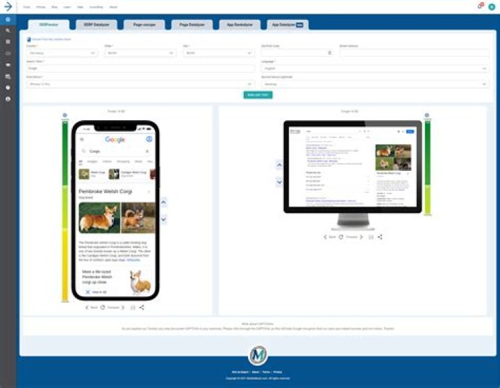 A SERP Checker Tool to Evaluate Live Google SERPs The SERPerator