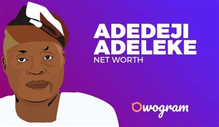 Adedeji Adeleke Net Worth And Biography 2021