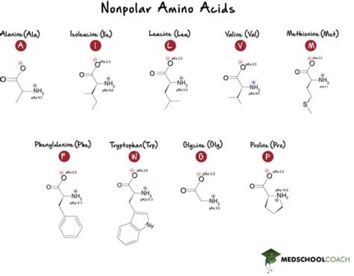 Amino Acid Structure Chart Polar Nonpolar