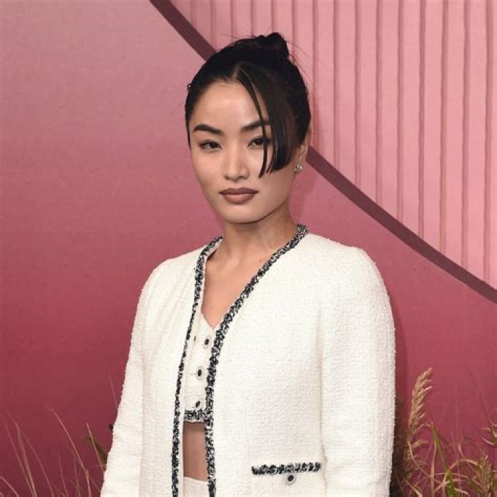 Anna Sawai Net Worth, Age, Bio, Dating, Movies (Updated 2024)