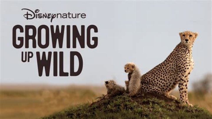 Antonio Pierce & Family Disneynature EARTH Premiere April &hellip; Flickr