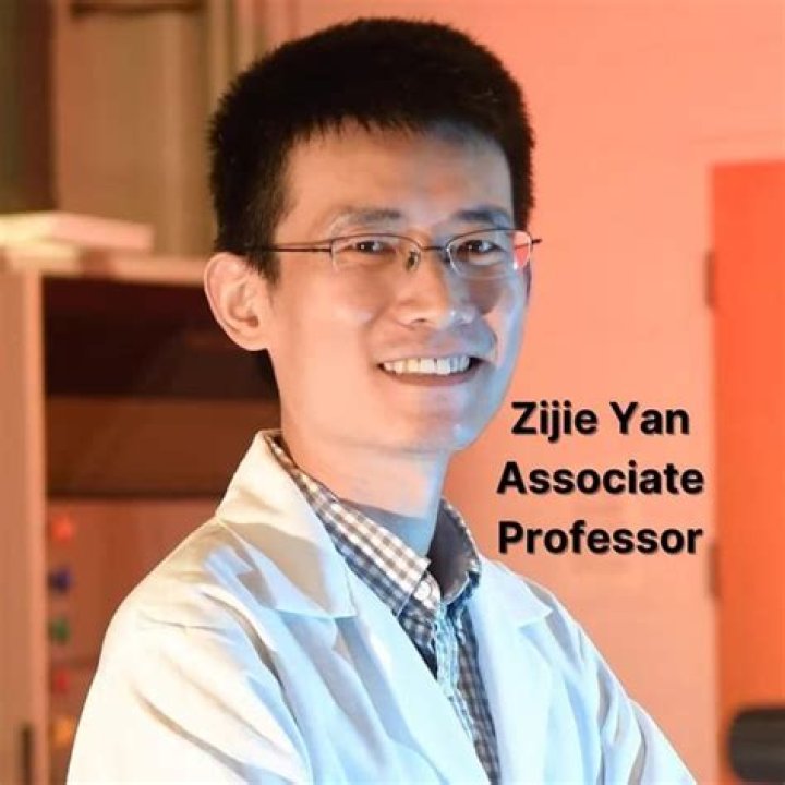 Associate Professor Zijie Yan