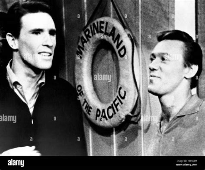 Beach Ball (1965)