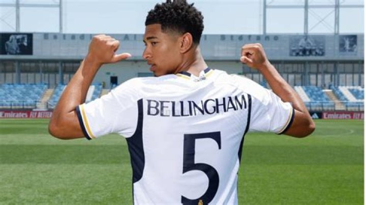Bellingham EulaSagale