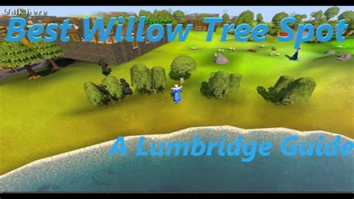Best Willow Tree Location in OSRS Lumbridge Guide YouTube