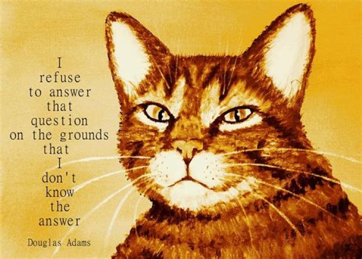 Beware of Philosophical Trick Questions The Partially Examined Life