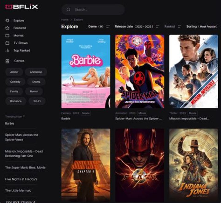 Bflix The Website, Its Applications And Alternatives To Bflix