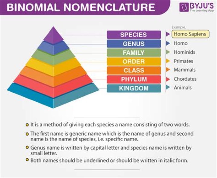 Binomial Nomenclature Rules of Binomial Nomenclature