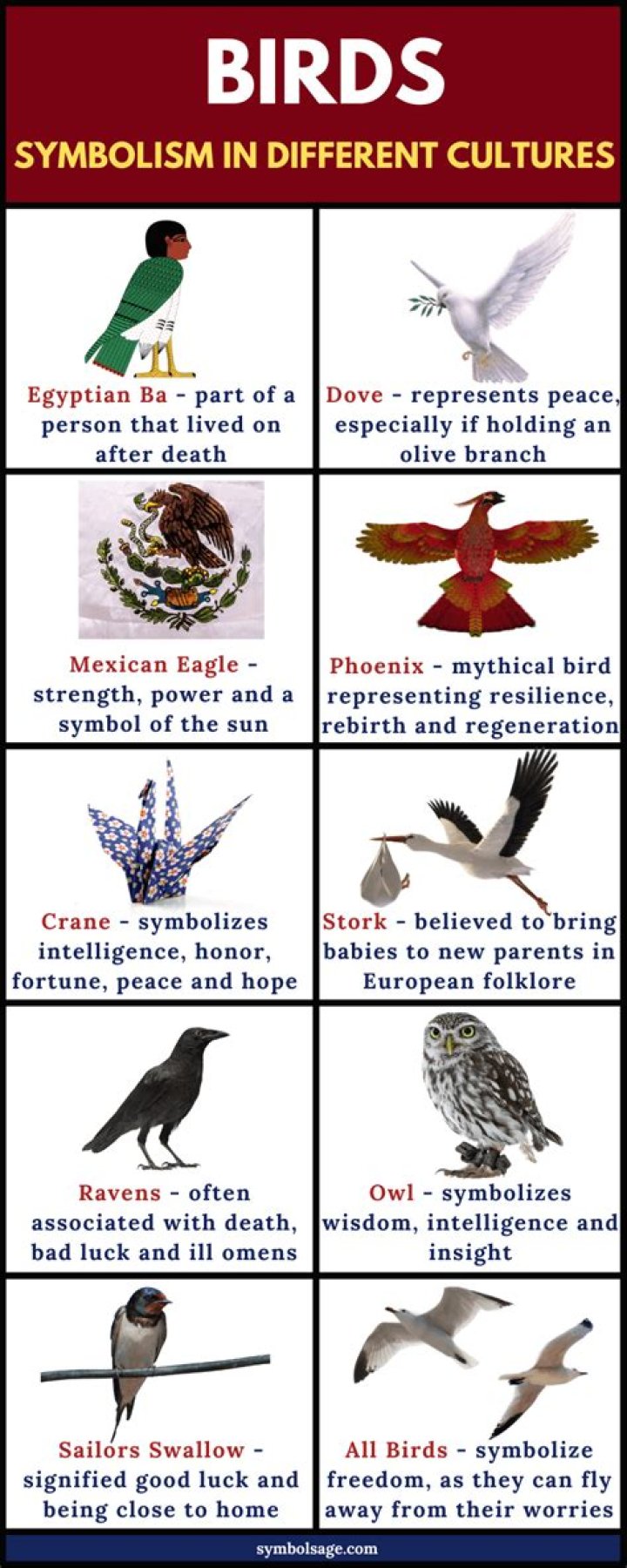 Birds Symbolism and Meaning What is a bird, Animal symbolism, Bird