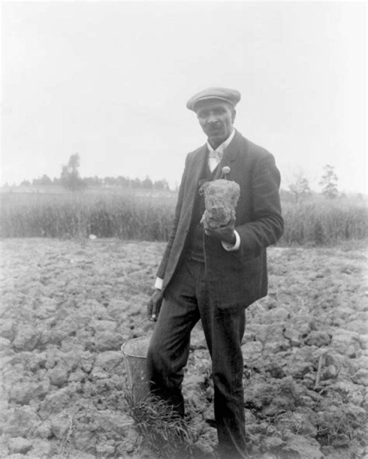 carver