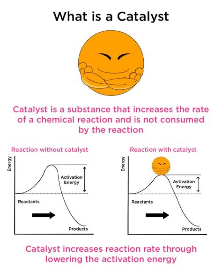 Catalyst Examples In Everyday Life