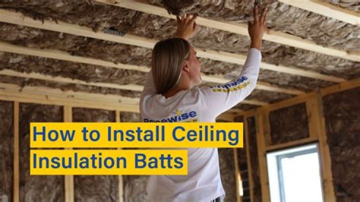 Ceiling Batt Insulation ubicaciondepersonas.cdmx.gob.mx
