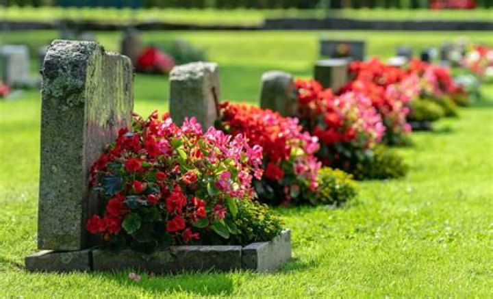 Clayton Lehmann Accident USD Professor Death And Obituary