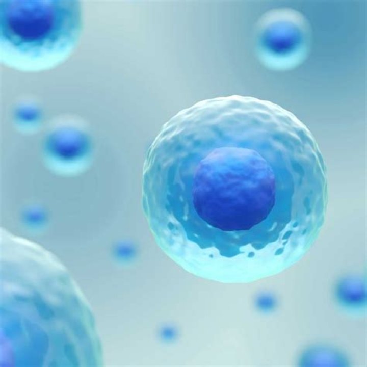 CMCells Stem Cell Clinic Reviews in Guadalajara Mexico