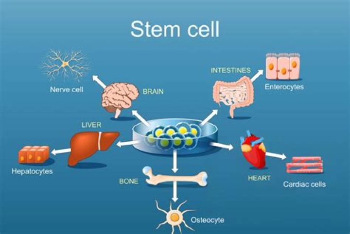 CMCells Stem Cell Treatment in Juarez Mexico