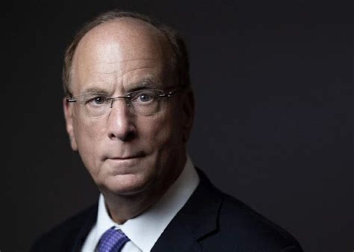 COP Talks Larry Fink Leads CEOs Back to Dubai Bloomberg