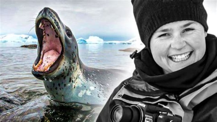 Deadly Leopard Seal Attack on Kirsty Brown YouTube