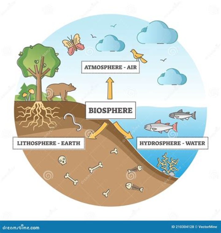 Description Biosphere division with labeled ecosystem explanation