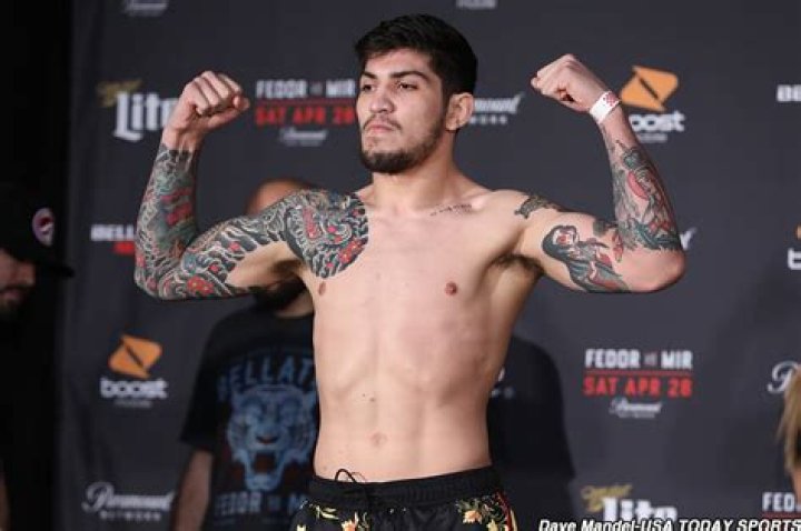 Dillon Danis receives sevenmonth suspension, 7,500 fine for role in