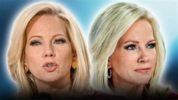 Does Shannon Bream Have Any Children? All About the Fox News Journalist