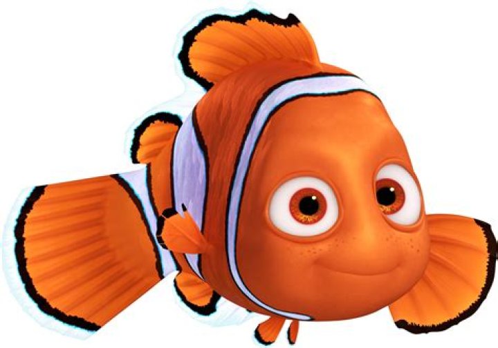 Download Marlin (Finding Nemo) Nemo (Finding Nemo) Clownfish Movie