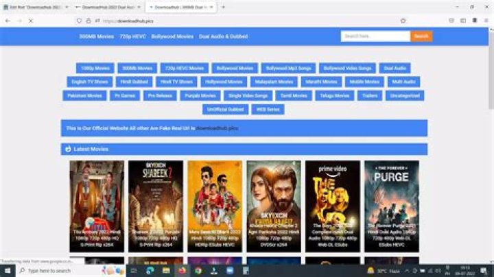 DownloadHub 300MB Dual Audio Bollywood, Hindi, Punjabi Movies!