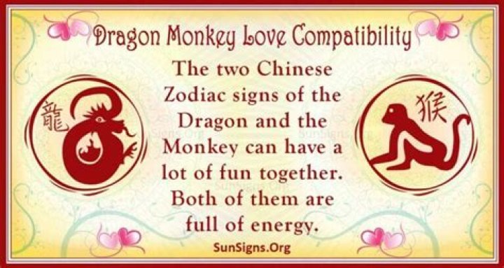 Dragon And Monkey Compatibility Passionate And Loving
