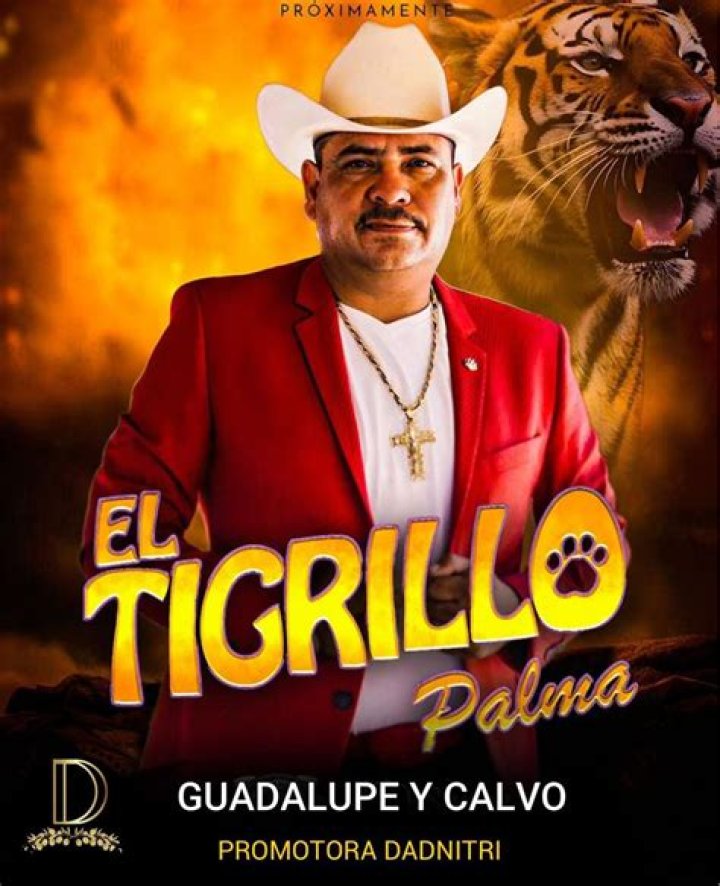 El Tigrillo Palma Concert & Tour History Concert Archives