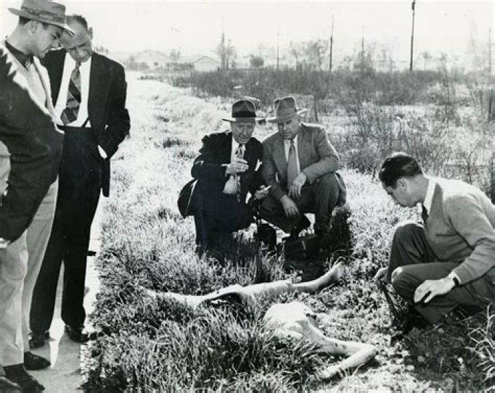 Elizabeth Short Death Body Photos and Autopsy Report Explained