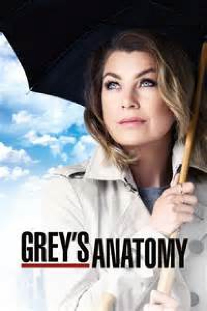 Ellen Pompeo Has a Lot to Say About Sandra Oh's Emmys Nomination