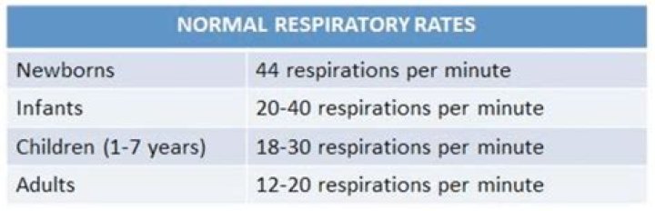 Essential Guide: Understanding Respiratory Rate For Newborn Babies