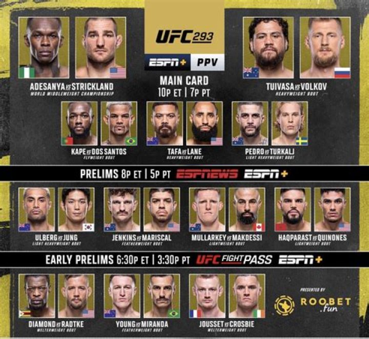 Everyone Hates The UFC 293 Poster BVM Sports