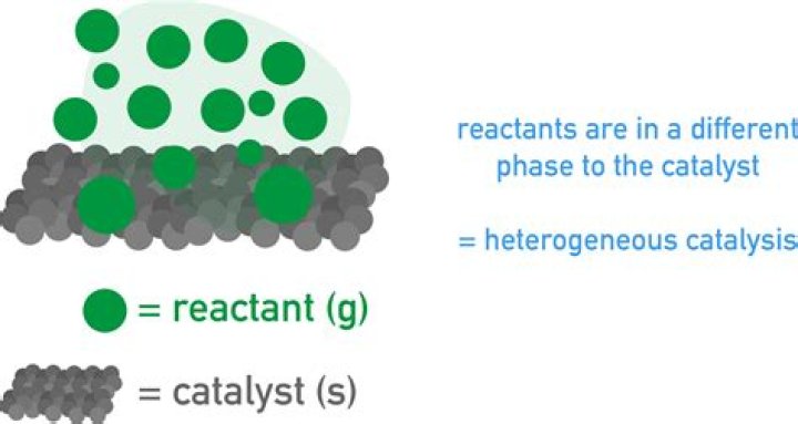 Examples Of Catalysts lupon.gov.ph