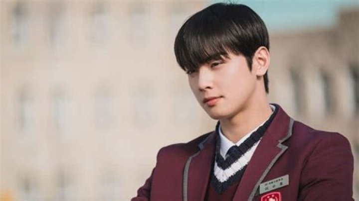 Exposing The Truth: Cha Eun Woo And Moon Ga Young's Alleged Secret Romance