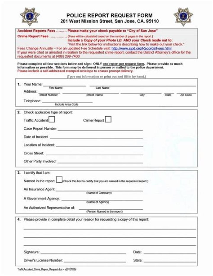 Fake Police Report Template Word