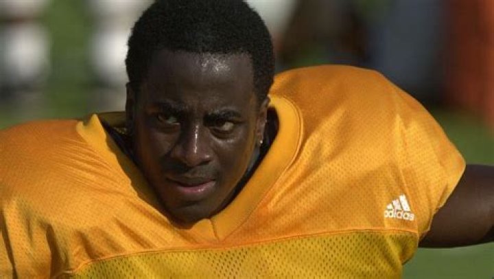 Former Vol resigns from coaching job after domestic assault arrest