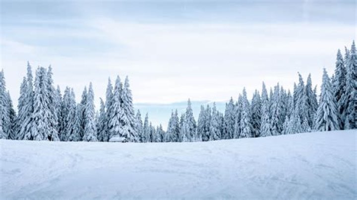 Free Images images, sky, snow, nature, branch, natural landscape