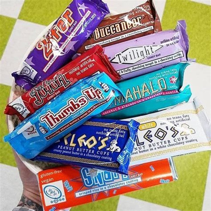 Go Max Go Candy Bars Reviews & Info (All DairyFree & Vegan)