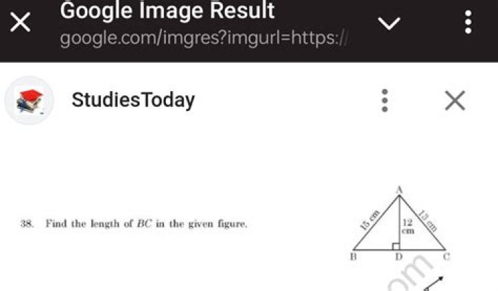Google Image Result for