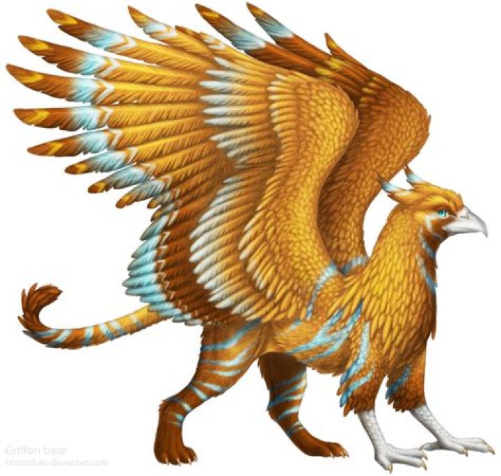 Griffin PNG
