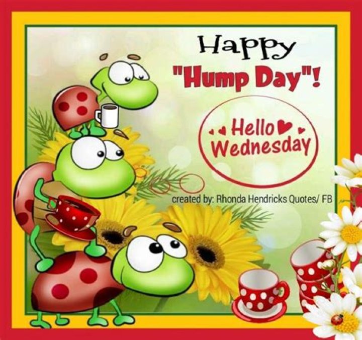 Happy Hump Day Pictures, Photos, and Images for Facebook, Tumblr