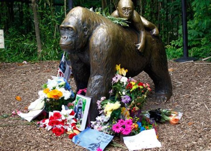 Harambe Returns Statue of Dead Gorilla in NYC National Review