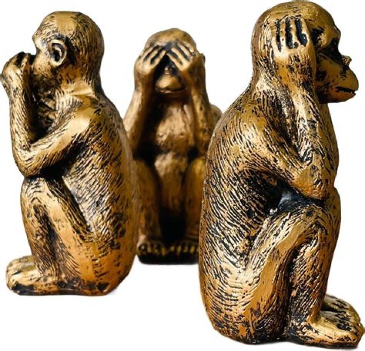 Hear No Evil, See No Evil, Speak No Evil Black and White Monkey Photo