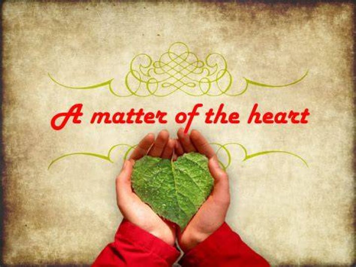 Heart of the Matter Beautiful Nurses..