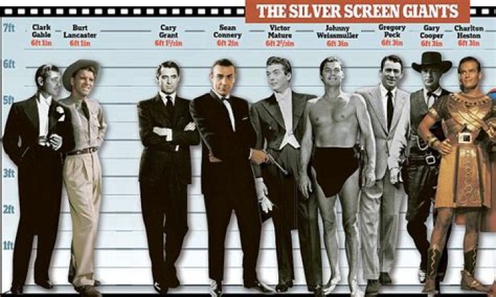 Hollywood Actors Height Stetsone